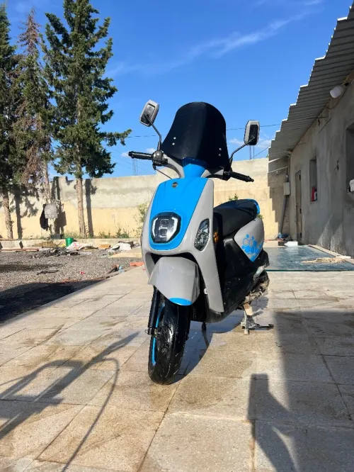 Vms Estate x 2025
