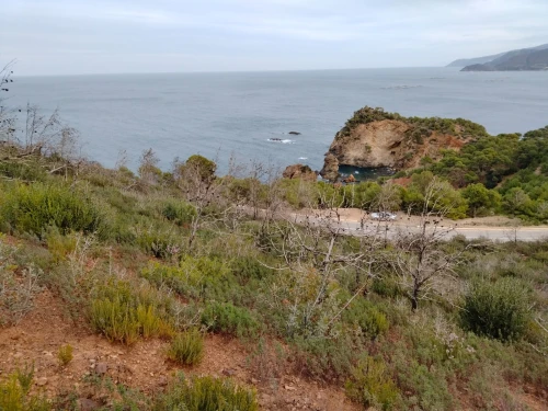 Vente Terrain Chlef Oued goussine