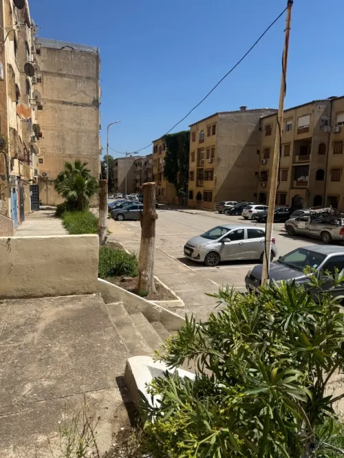 Vente Local Alger Douera