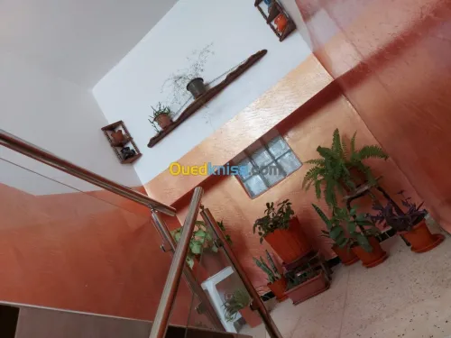 Vente Appartement Duplex F8 Skikda Ramdane djamel