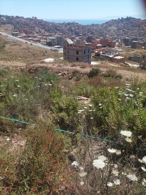 Vente Terrain Béjaïa Oued ghir