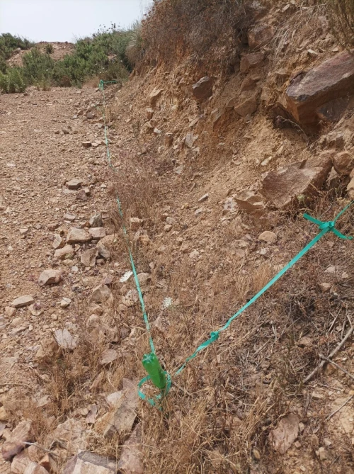 Vente Terrain Béjaïa Oued ghir