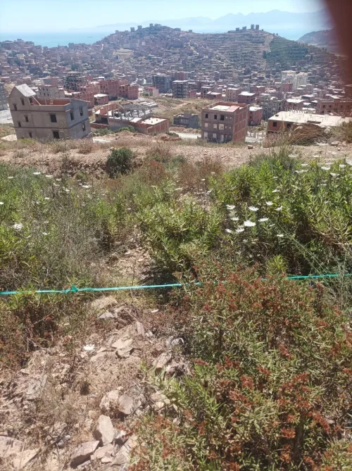 Vente Terrain Béjaïa Oued ghir