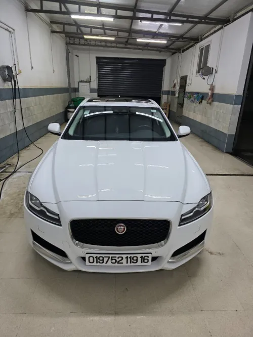 Jaguar XF 2019 25T