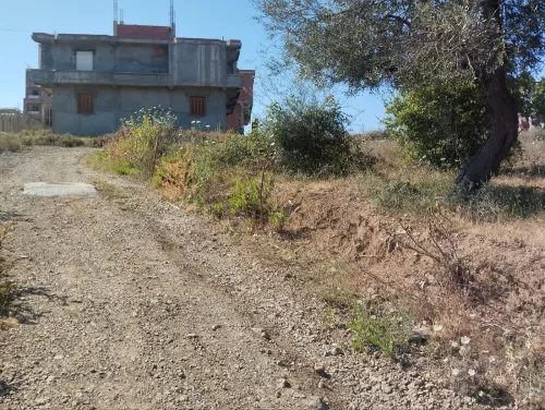 Vente Terrain Jijel Kaous