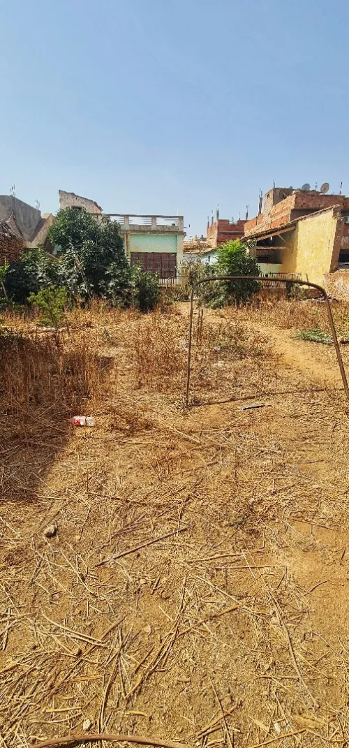 Vente Terrain Aïn Témouchent El malah