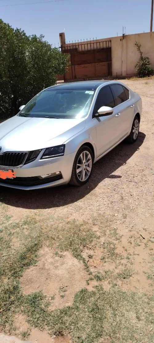 Skoda Octavia 2019 Clever