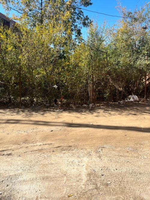 Vente Villa Blida Bougara