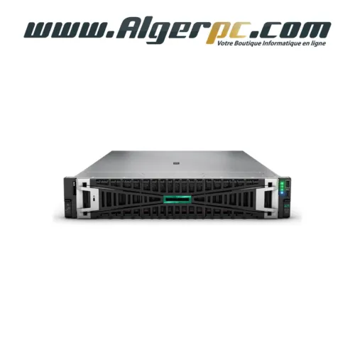 Serveur HP ProLiant DL380 Gen11 Xeon Gold 5416S/64Go 4800 MTs/2x 480Go SSD/2x 1000W