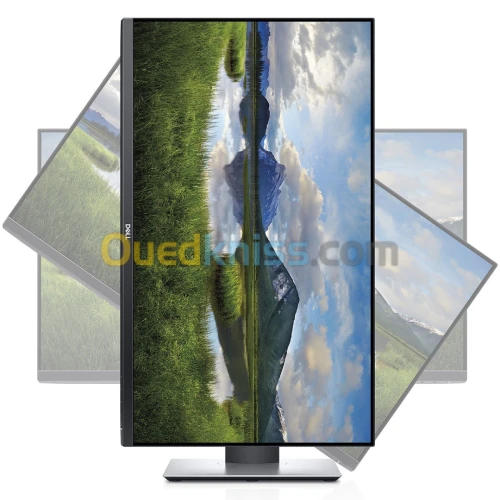Ecran Dell 27 pouces full HD ips P2719H displayport + 2 HDMI + 5 USB + rotatif 45 + pivotant 90