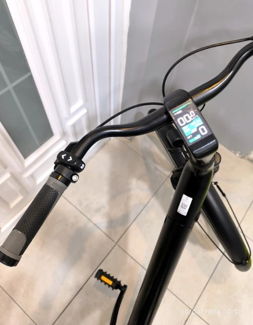 Vélo électrique TENWAYS CGO800S