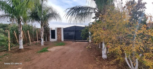 Vente Terrain Agricole Oran Es senia