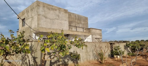 Vente Terrain Agricole Oran Es senia