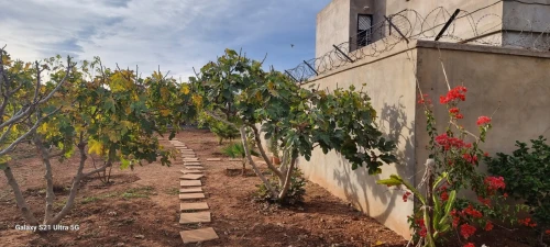 Vente Terrain Agricole Oran Es senia