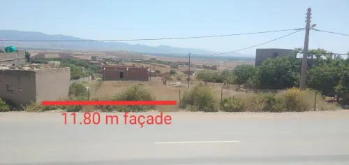 Vente Terrain Tlemcen Marsa ben mhidi