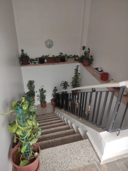 Vente Villa Blida Beni tamou