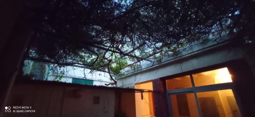 Vente Villa Alger El biar