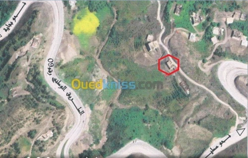 Location Local Sétif Tizi nbechar
