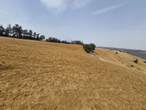Vente Terrain Agricole Mostaganem Sidi lakhdaara