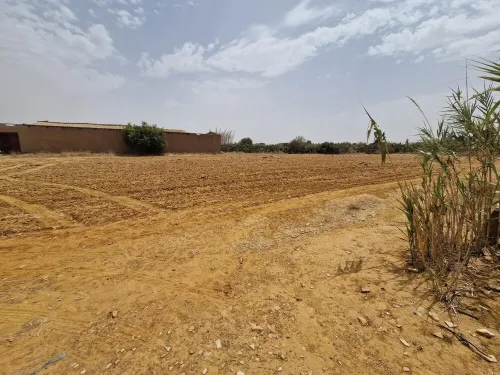 Vente Terrain Agricole Mostaganem Sidi lakhdaara
