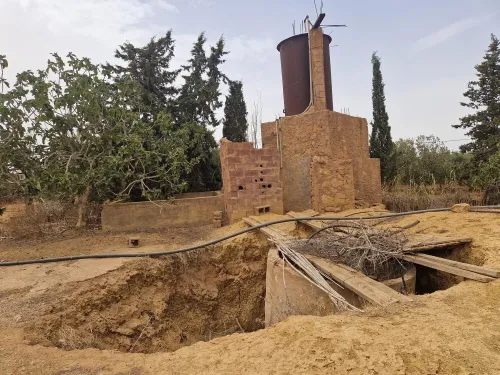 Vente Terrain Agricole Mostaganem Sidi lakhdaara