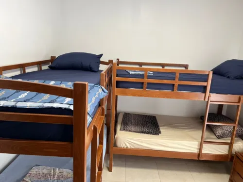 Location Appartement F3 Alger Birkhadem