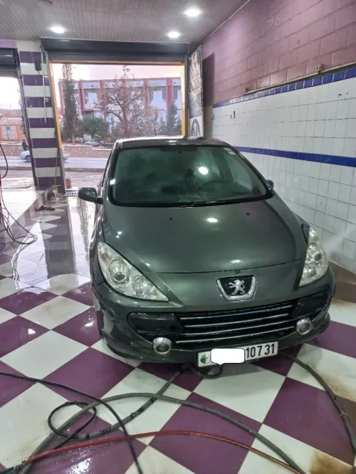 Peugeot 307 2007 Oxygo