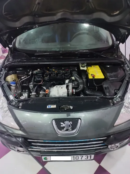 Peugeot 307 2007 Oxygo