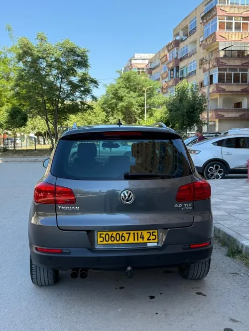 Volkswagen Tiguan 2014 cup