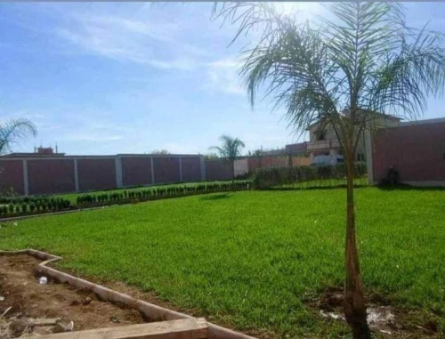 Jardinage