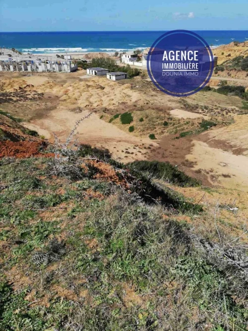 Vente Terrain Skikda Filfla