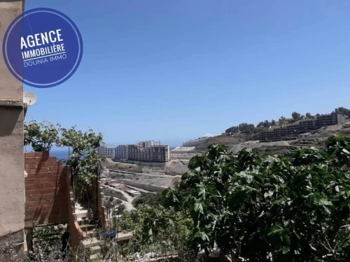 Vente Terrain Skikda Skikda