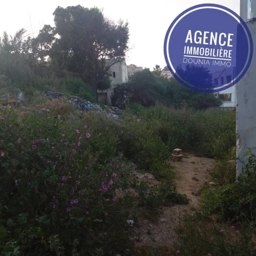 Vente Terrain Skikda Skikda