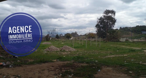 Vente Terrain Skikda Hamadi krouma