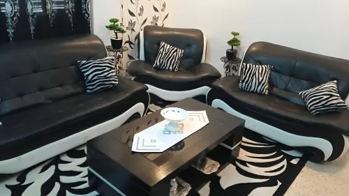 Salon noir et blanc , trois fauteuils , deux tables de salons , chaises