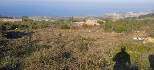 Vente Terrain Jijel El aouana