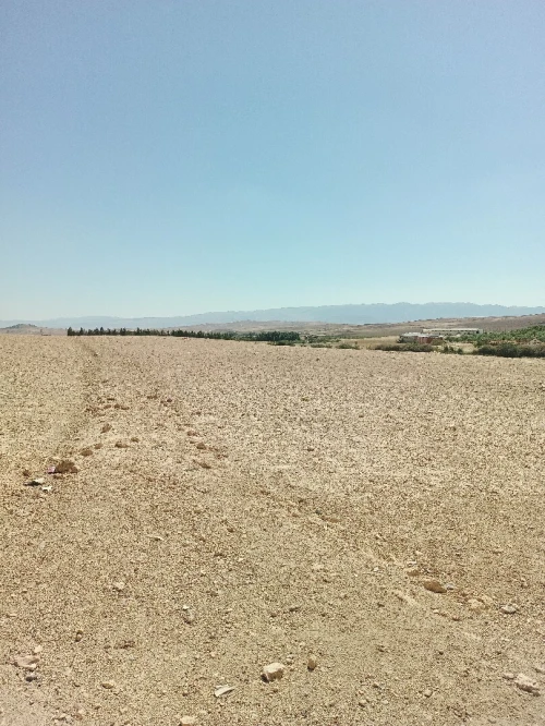 Vente Terrain Agricole Bordj Bou Arreridj El achir