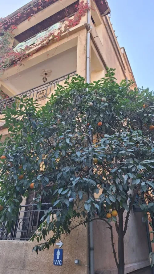 Vente Villa Béjaïa Bejaia 16