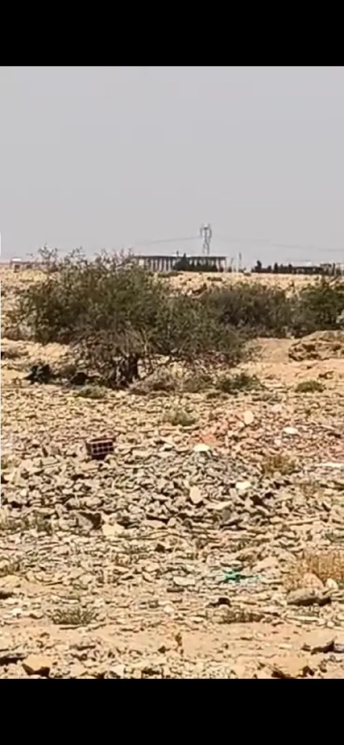 Vente Terrain M'Sila Msila