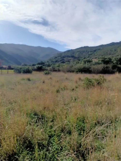Vente Terrain Bejaia Tala hamzadaira