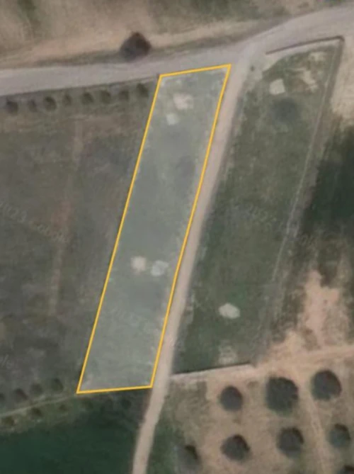 Vente Terrain Bouira Oued el berdi