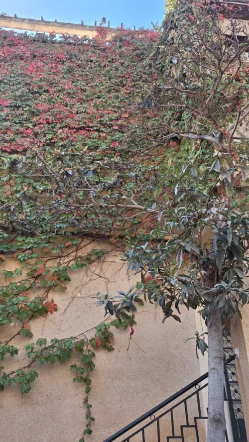 Vente Villa Béjaïa Bejaia 5