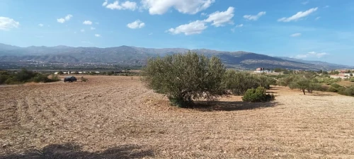Vente Terrain Agricole Béjaïa Boudjellil
