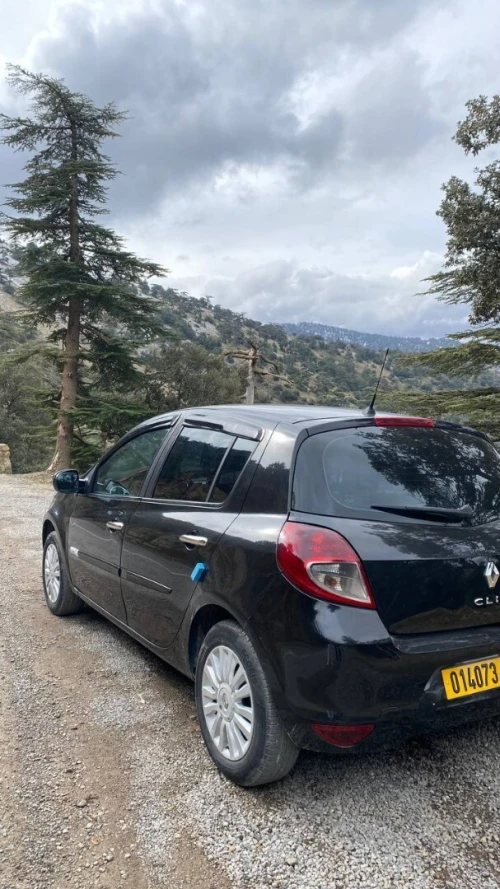 Renault Clio 3 2010 Dynamique