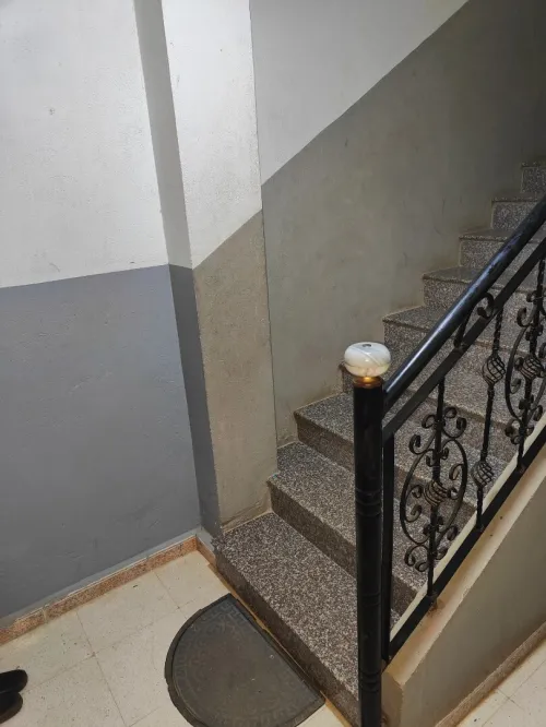 Vente Villa Alger Les eucalyptus