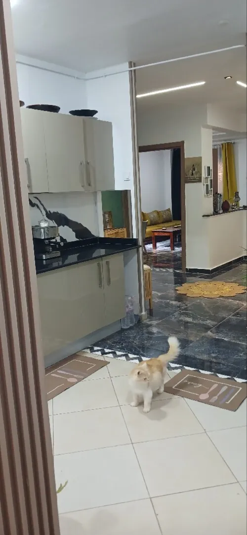 Vente Appartement F3 Oran Bir el djir
