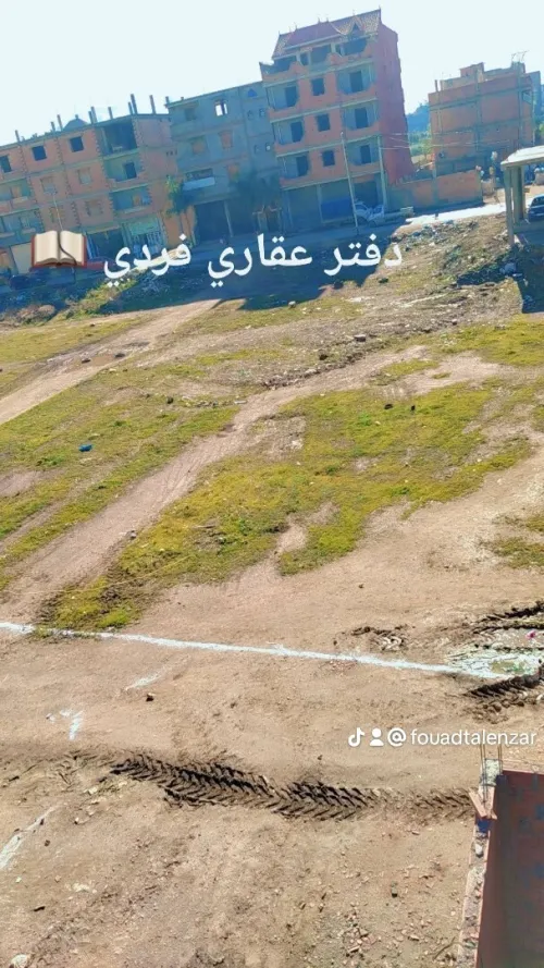 Vente Terrain Blida Bougara