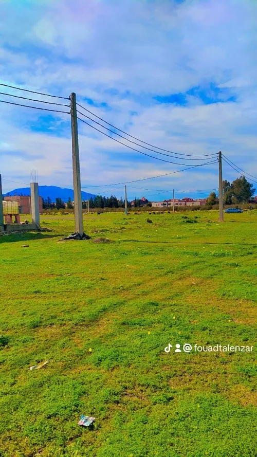 Vente Terrain Blida Bougara