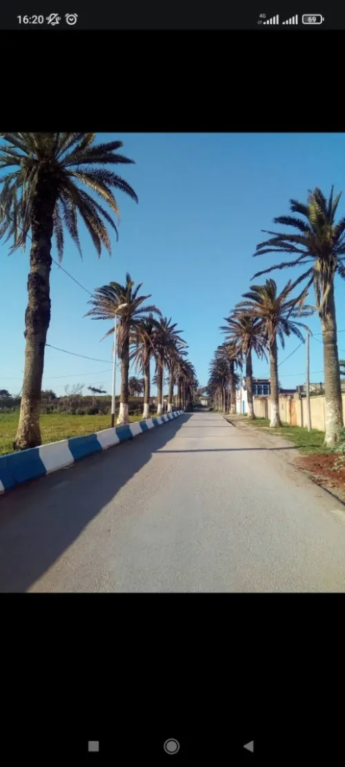 Location vacances Bungalow Alger Ain taya