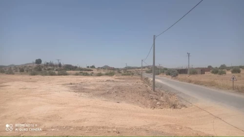 Vente Terrain Agricole Bouira Oued el berdi